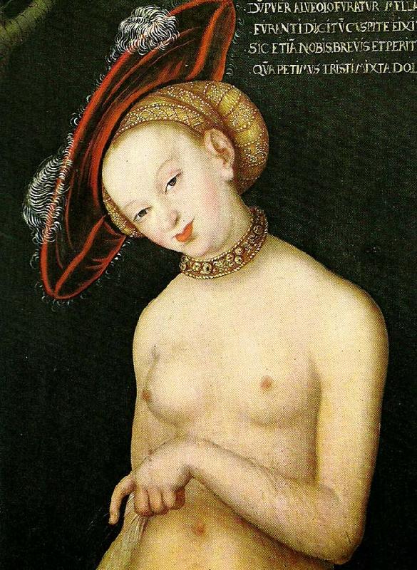 CRANACH, Lucas the Younger woman with a hat France oil painting art